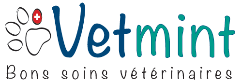 Cabinet véterinaire Bussigny | Vetmint