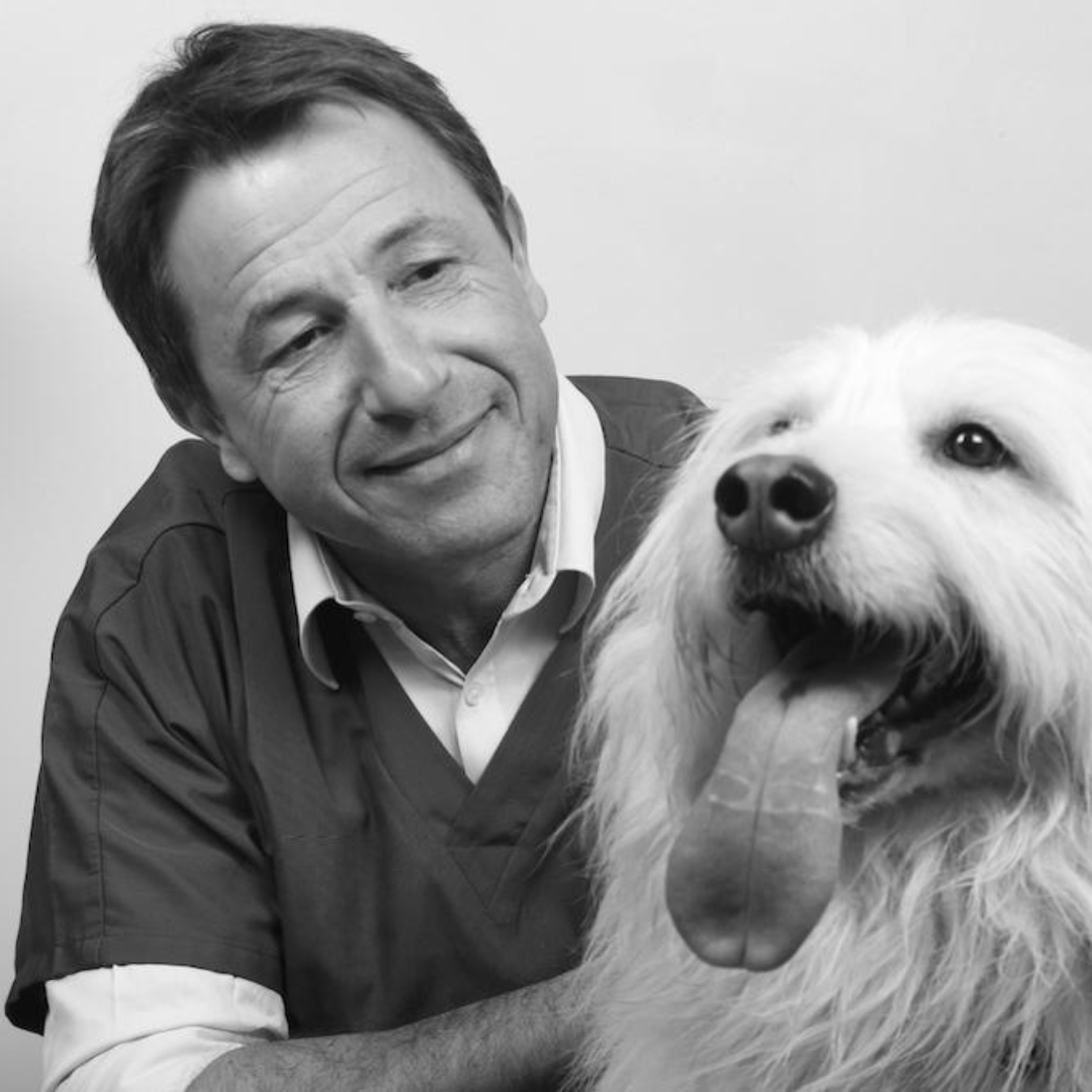 Dr Romain Abos, vétérinire de Vetmint St-Légier